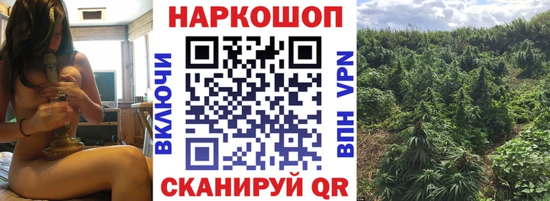 Где купить Менделеевск Гашиш  Конопля  APVP  Меф 