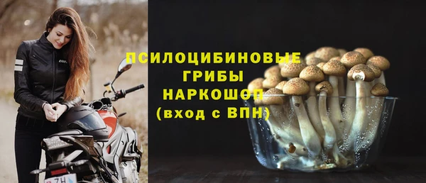 винт Алзамай