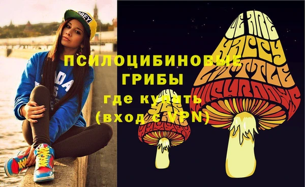винт Алзамай