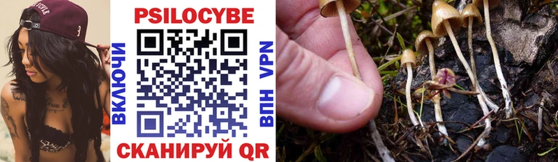 Псилоцибиновые грибы GOLDEN TEACHER дарк нет клад Менделеевск